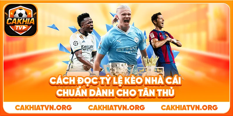 Cách Đọc Tỷ Lệ Kèo Nhà Cái Chuẩn Dành Cho Tân Thủ 31 Cách Đọc Tỷ Lệ Kèo Nhà Cái Chuẩn Dành Cho Tân Thủ