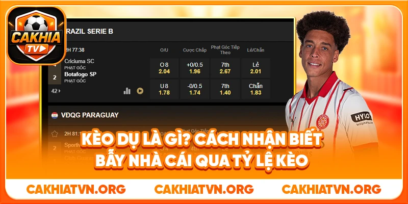 >Kèo Dụ Là Gì? Cách Nhận Biết Bẫy Nhà Cái Qua Tỷ Lệ Kèo 8 Kèo Dụ Là Gì? Cách Nhận Biết Bẫy Nhà Cái Qua Tỷ Lệ Kèo