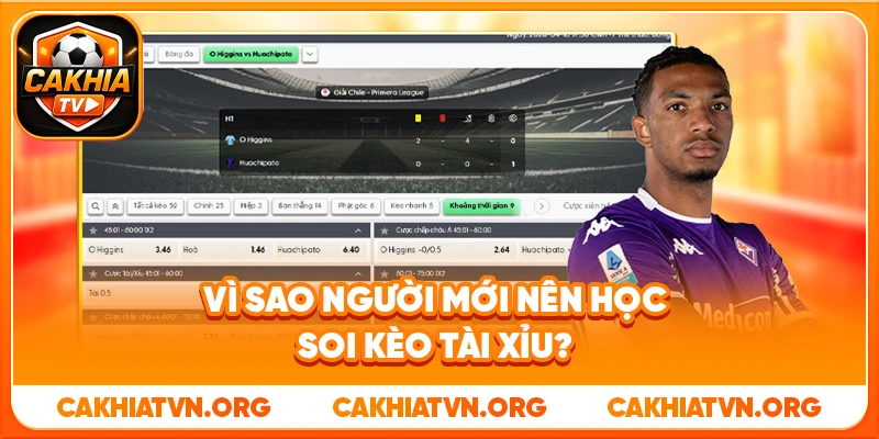 Hướng Dẫn Soi Kèo Tài Xỉu Theo Thống Kê Thực Tế Từ Cakhia TV 3 Vì Sao Người Mới Nên Học Soi Kèo Tài Xỉu?